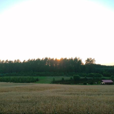 Agroturystyka U Kasi Suryty Luaran gambar
