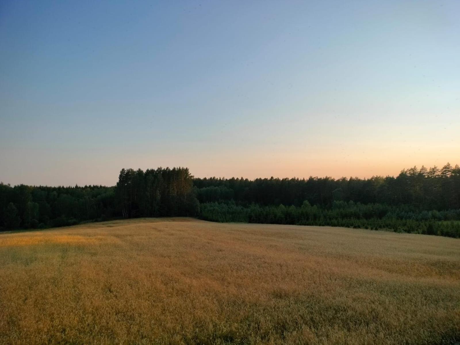 Agroturystyka U Kasi Suryty Luaran gambar